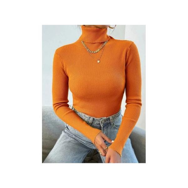 Pull Col Roulé Femme